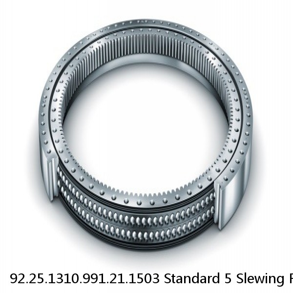 92.25.1310.991.21.1503 Standard 5 Slewing Ring Bearings
