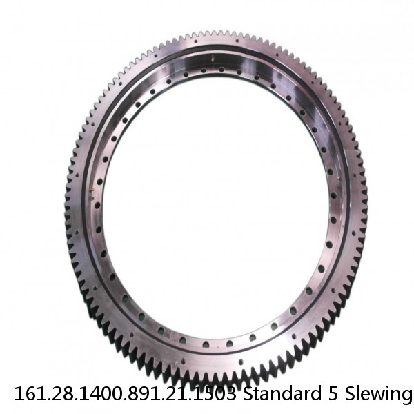 161.28.1400.891.21.1503 Standard 5 Slewing Ring Bearings