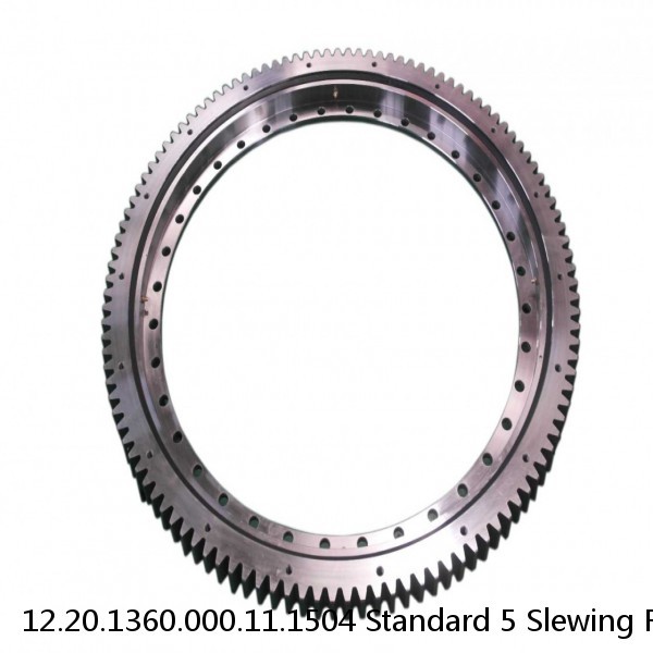 12.20.1360.000.11.1504 Standard 5 Slewing Ring Bearings