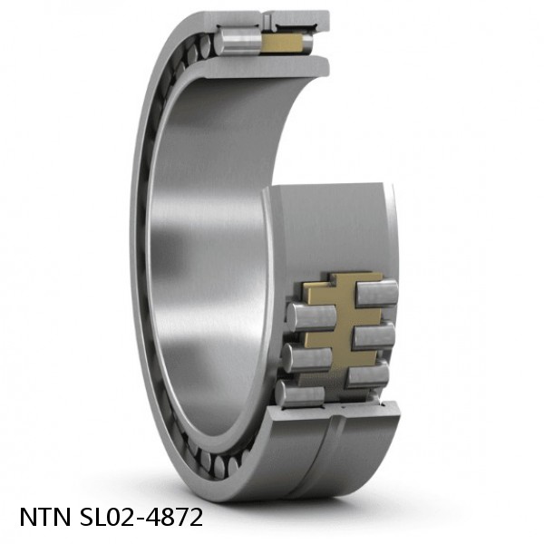 SL02-4872 NTN Cylindrical Roller Bearing
