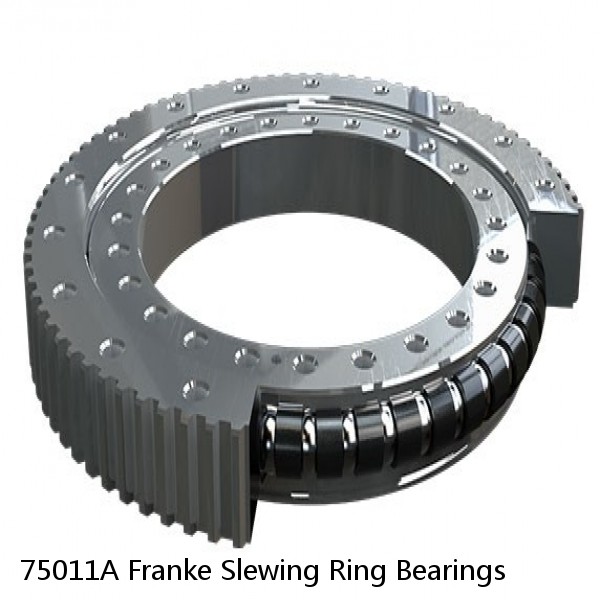 75011A Franke Slewing Ring Bearings #1 small image