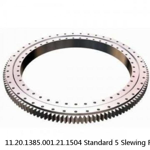 11.20.1385.001.21.1504 Standard 5 Slewing Ring Bearings