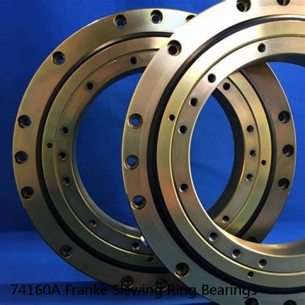 74160A Franke Slewing Ring Bearings #1 small image