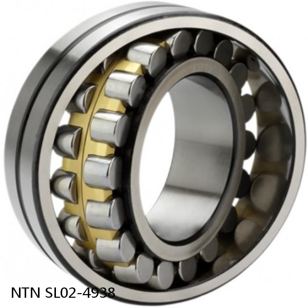 SL02-4938 NTN Cylindrical Roller Bearing #1 small image