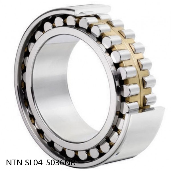 SL04-5036NR NTN Cylindrical Roller Bearing #1 small image