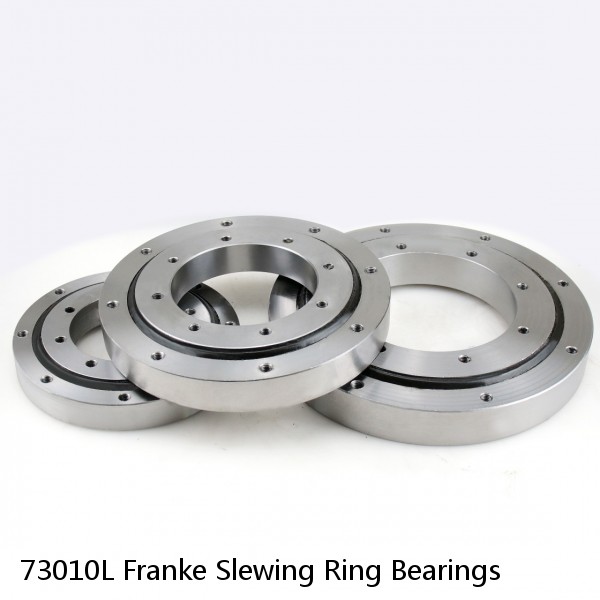 73010L Franke Slewing Ring Bearings #1 small image