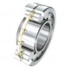 45 mm x 100 mm x 36 mm  KOYO NUP2309R cylindrical roller bearings