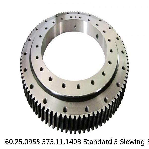 60.25.0955.575.11.1403 Standard 5 Slewing Ring Bearings #1 image