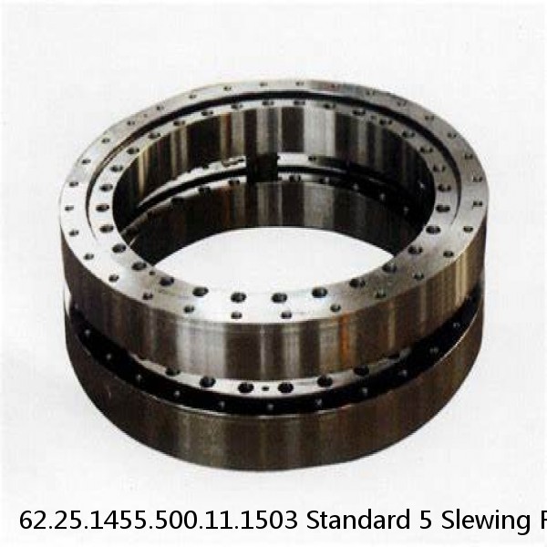 62.25.1455.500.11.1503 Standard 5 Slewing Ring Bearings #1 image