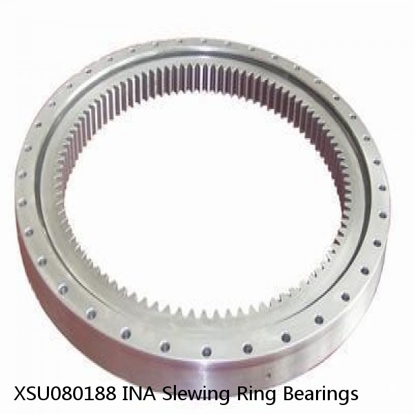 XSU080188 INA Slewing Ring Bearings #1 image