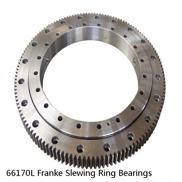 66170L Franke Slewing Ring Bearings #1 image