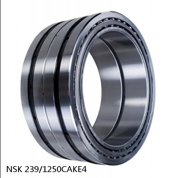239/1250CAKE4 NSK Spherical Roller Bearing #1 image