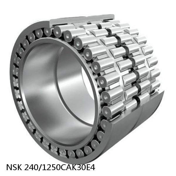 240/1250CAK30E4 NSK Spherical Roller Bearing #1 image